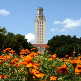 University of Texas profile image